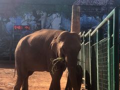 -昆明动物园