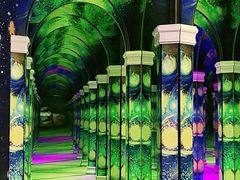 -天津梵高星空艺术馆(天河城旗舰店)