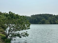 -南京市无想山景区