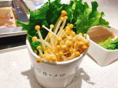 -串一火锅(赛格国际购物中心店)