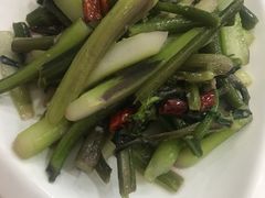 清炒菜苔-海燕酒店(惠济路店)