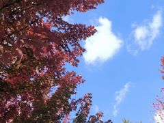 -辽宁大学(崇山校区)