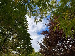 -叠溪松坪沟景区