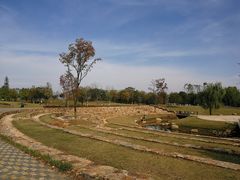 -盘龙城国家考古遗址公园