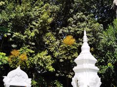 -西双版纳总佛寺