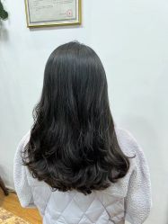 -SSS造型形象设计