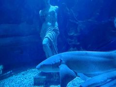 -太平洋海底世界