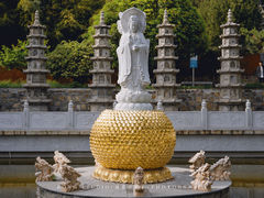 -普照寺