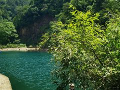 -大奇山国家森林公园