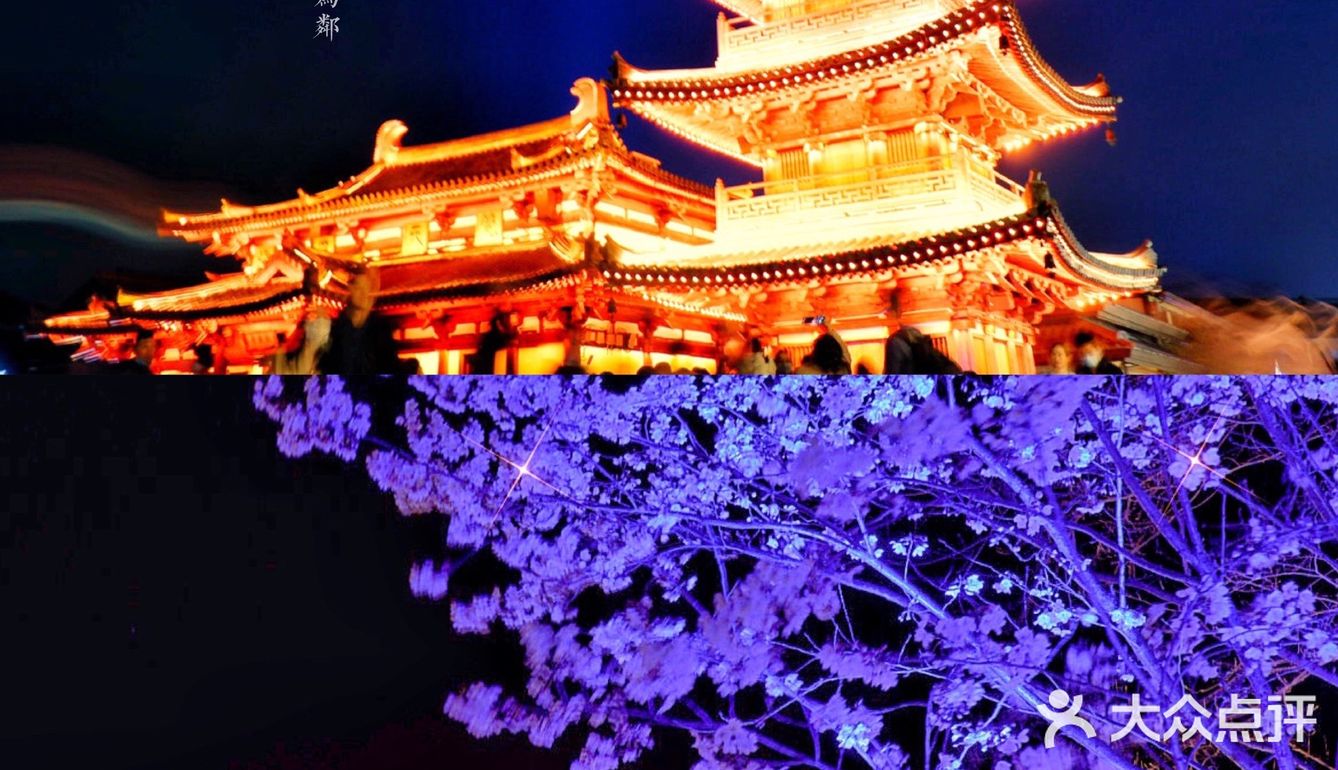 初春限定的浪漫，去拈花湾踏春赏樱（最全攻略