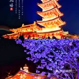 初春限定的浪漫，去拈花湾踏春赏樱（最全攻略