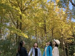 -昆山城市生态森林公园