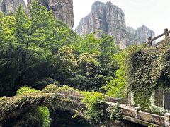 -雁荡山风景名胜区-朝阳洞