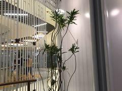 -喜鼎海胆水饺(平安金融中心店)