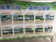 -清溪森林公园
