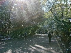 -热田神宫