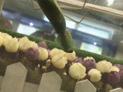 -上海昆虫博物馆