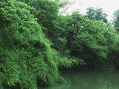 -中国湿地博物馆