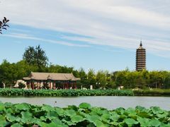 -西海子公园