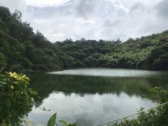 -李小龙乐园(顺德均安店)