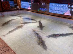 -胖姐渔村(中源大道店)