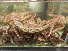 -万龙洲海鲜(大兴绿地缤纷城店)