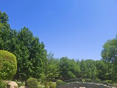-莫子山公园
