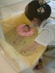 -皇家月府月子中心(沈阳店)