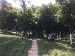 -金海湾滨江公园