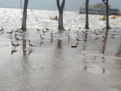 -滇池海埂公园