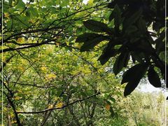 -黔灵山公园