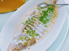 -梦都海鲜酒家(万达广场江桥店)