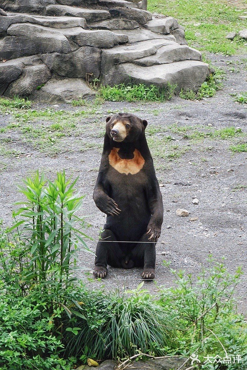 人生第一次 春游大作战