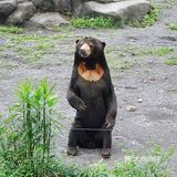 人生第一次 春游大作战