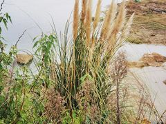 -云漫湖生态度假公园