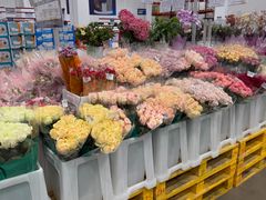 -山姆会员商店(上海浦东店)