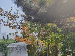 -湛山寺