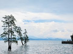 -大理洱海