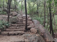 -大岭沟猕猴桃谷风景区