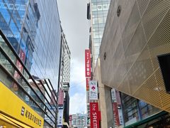 -新世界百货(明洞总店)