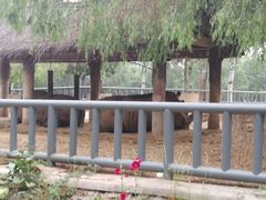 -石家庄市动物园