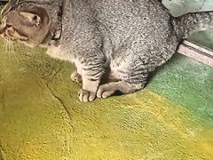 -荔枝红五号农庄