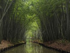 -同里国家湿地公园