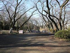 -井之头恩赐公园