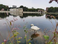 -长春世界雕塑园冰雪艺术天地