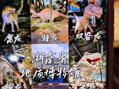 -湖南省地质博物馆