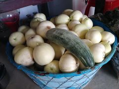 -胜丰草莓采摘园