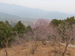 -香山公园