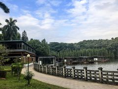 -三水森林公园