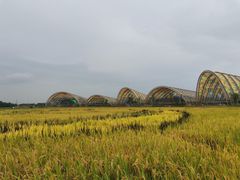 -中国天府农业博览园